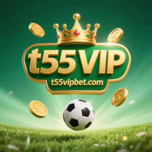 t55 VIP
